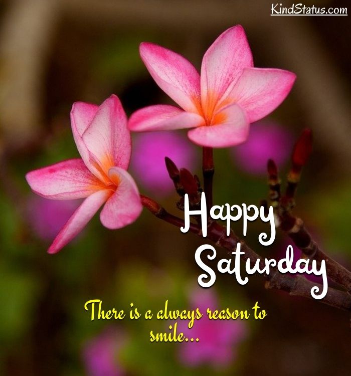 Happy Saturday Images, Pictures, Photo » KindStatus.com